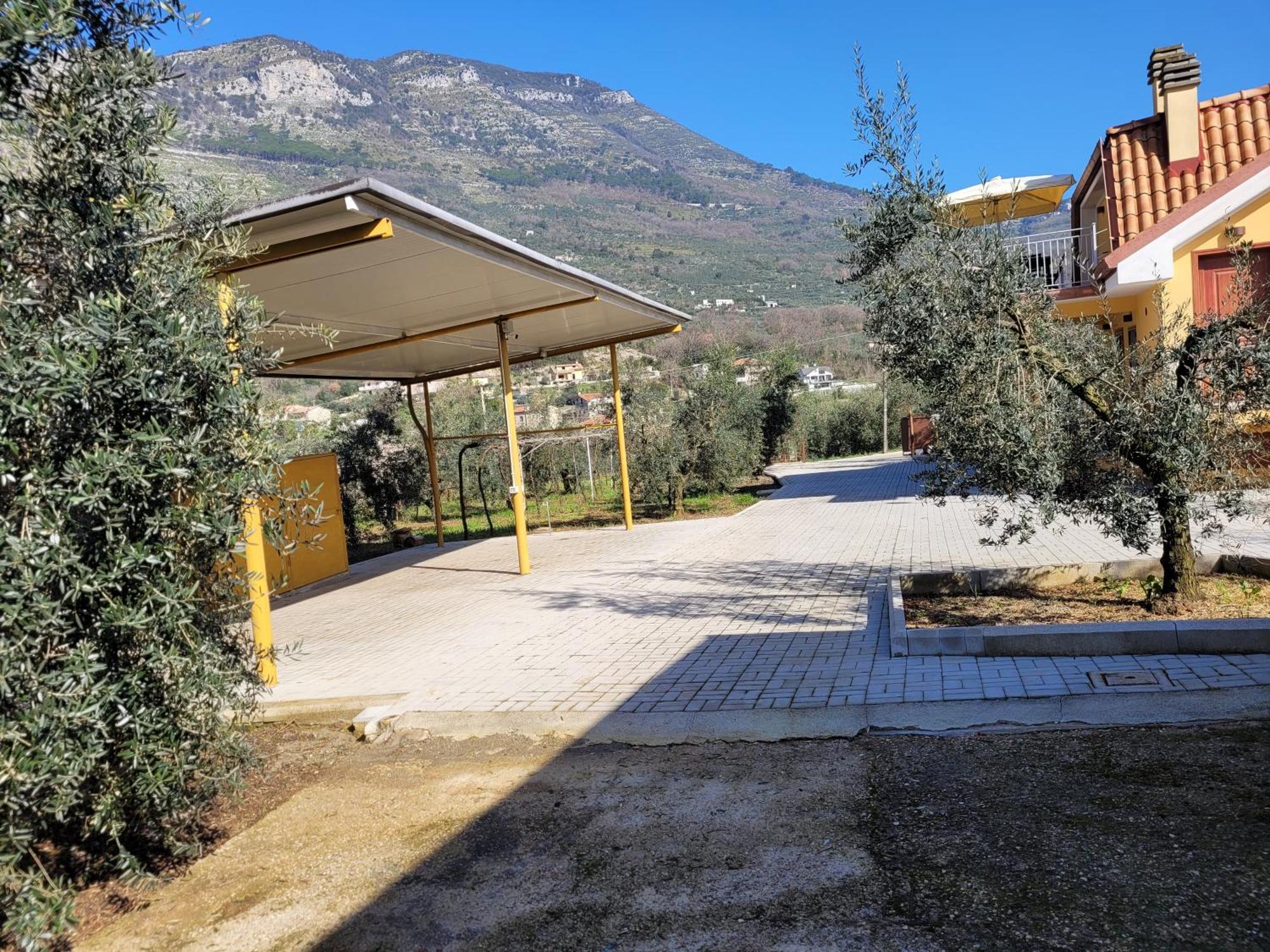 Aparthotel Turistico Magnifico Alessandro Valle Bernardo 04025 Lt Cir 19063 Nei Pressi Di 04022 Fondi Lt Lenola